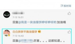 网红黑料网站,揭开网络舆论背后的真相